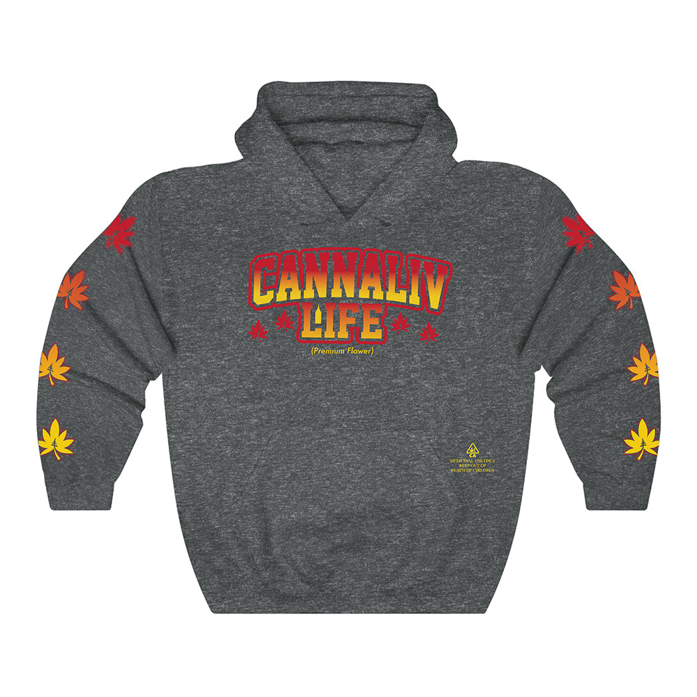 Collegiate Hoodie