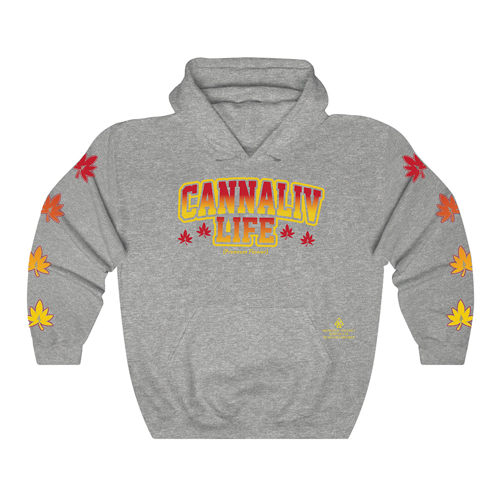 Collegiate Hoodie