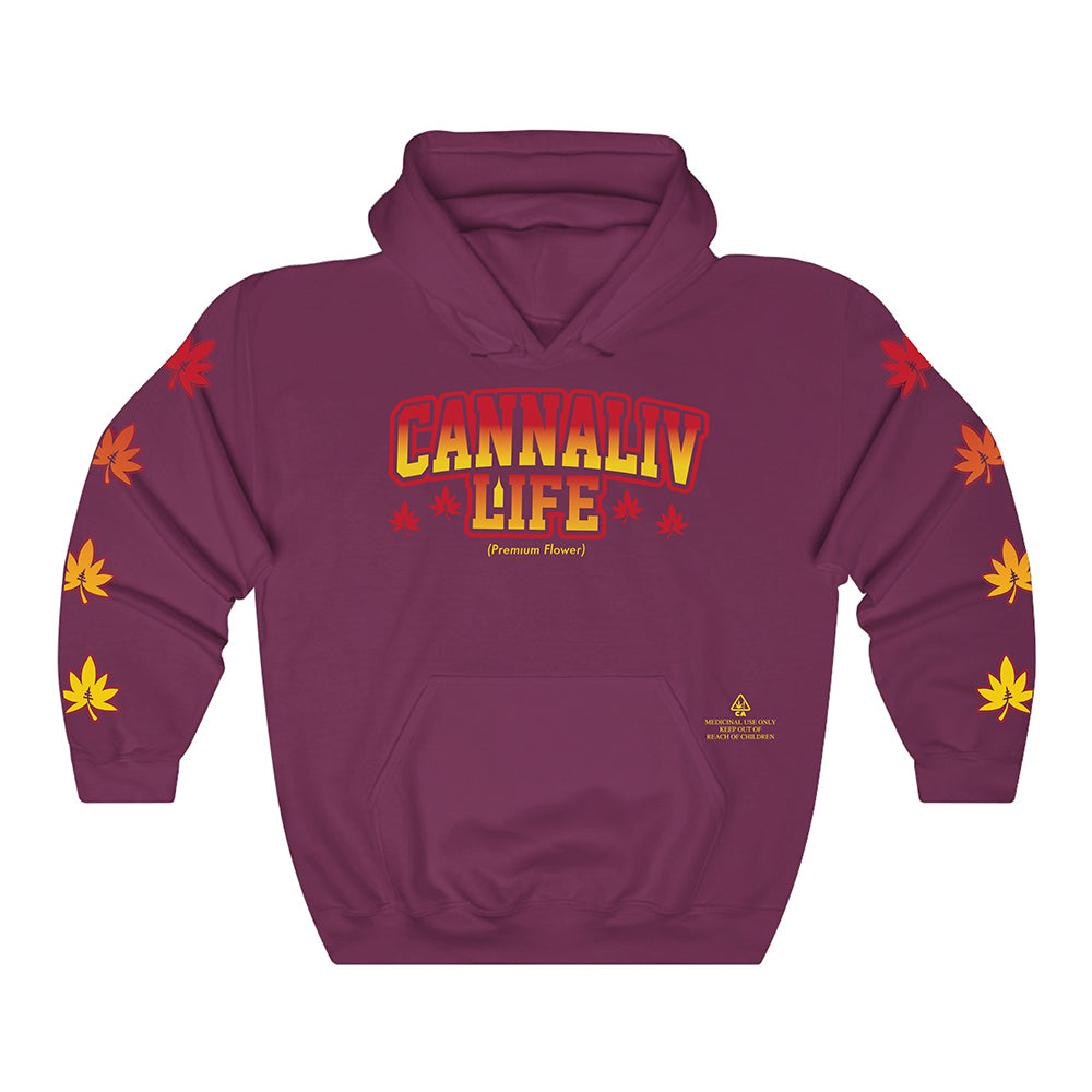 Collegiate Hoodie